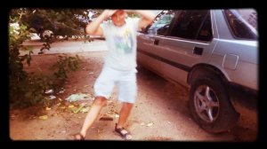 Дикое кенгуру в мире животных #11