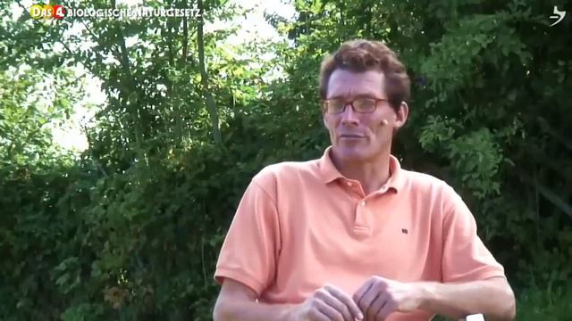 Германская Новая Медицина - причины болезней, это должен знать каждый! ЗАКОНЫ ГНМ