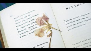 6 июня — день рождения Пушкина