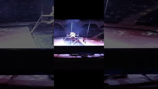 Партерный полет п/р Алишера Алиева