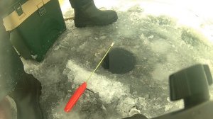 На рыбалке в метель.