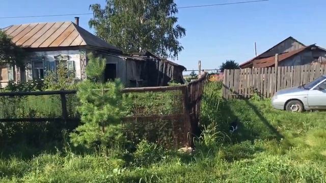 Саратовская область. Село 1 - я Ханеневка, Базарно - Карабулакского района. Лето 2020. смотреть онлайн