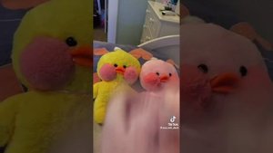 уточки Лала фан фан