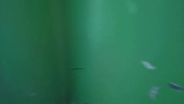 16-этажка 1-464Д-Э193! | Лифты КМЗ и СамЛЗ 1977 г.в., V=1 м/с, г/п 500, 320 кг смотреть онлайн