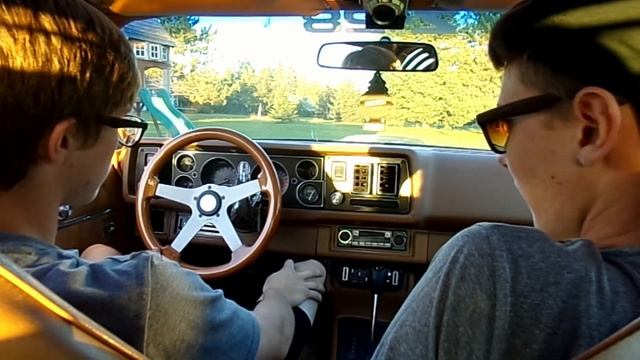 Swallowing Memes смотреть онлайн