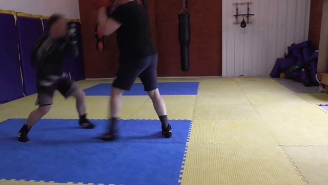 Работа на лапах, базовые упражнения. смотреть онлайн