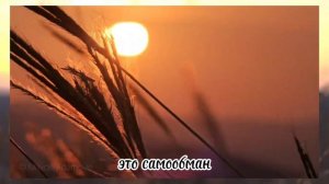 живите с радостью