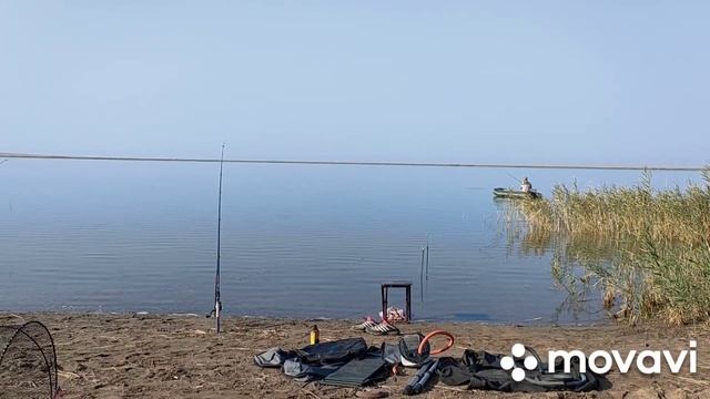 19 августа 2021 г. смотреть онлайн