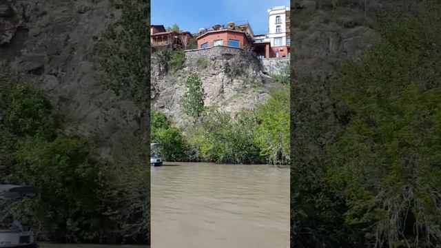 Вот они! Редкие виды Бакланов на реке Куре (Мтквари). Тбилиси.