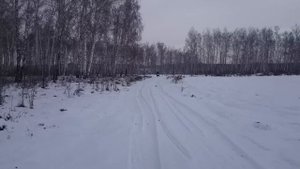 Испытание мини снегохода динго т 150