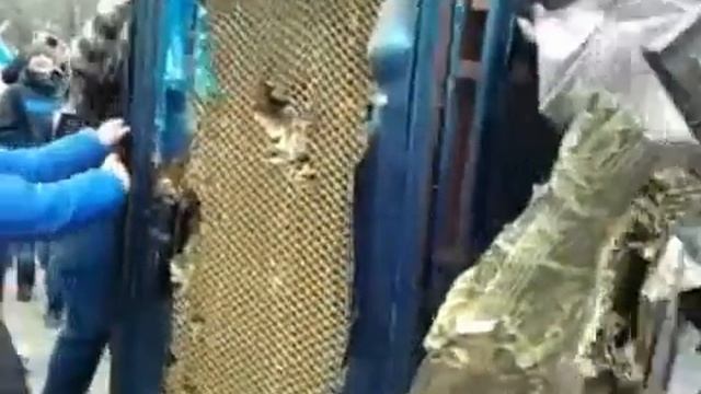 Топор против китайской двери смотреть онлайн