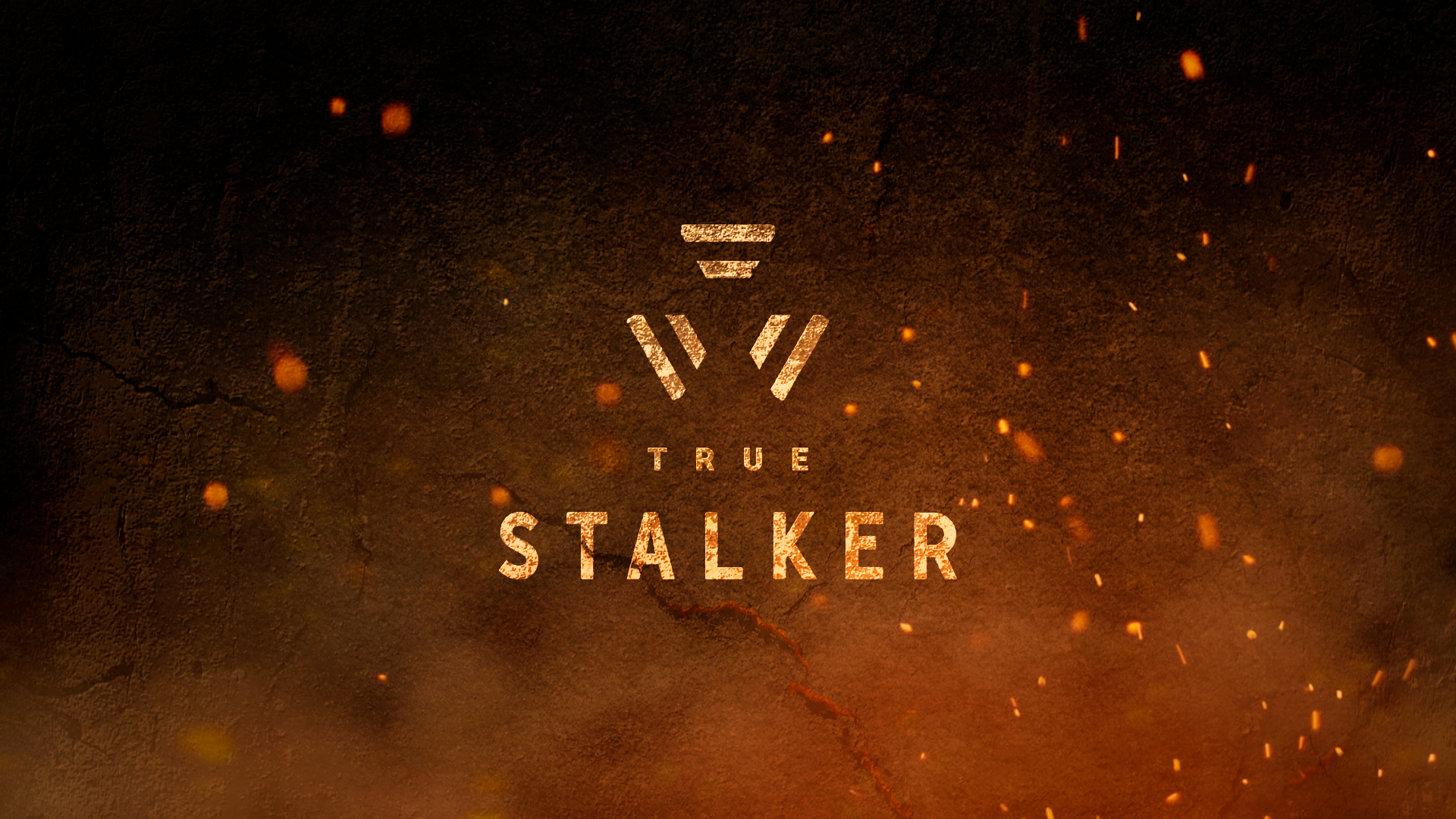 S.T.A.L.K.E.R. True Stalker #1.