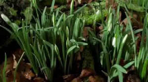 Природная , шаманская