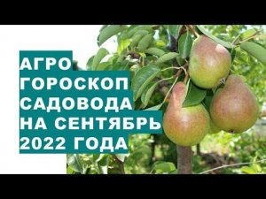 Агрогороскоп садовода на сентябрь 2022 года