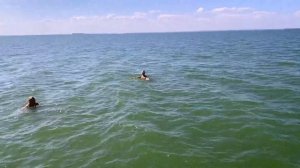 ОБСКОЕ ВОДОХРАНИЛИЩЕ В ИСКИТИМСКОМ РАЙОНЕ НОВОСИБИРСКАЯ ОБЛАСТЬ!