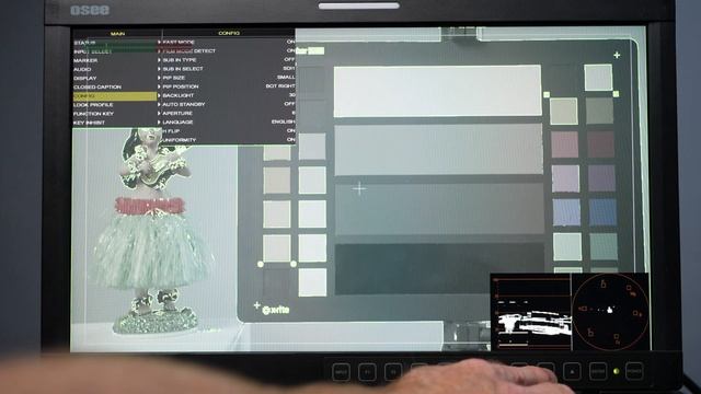OSEE 17 LCM170-E 10 Bit Field Production Monitor Review смотреть онлайн