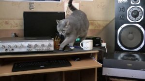 Электроника 004 послушаем тяжелые и более спокойные записи !