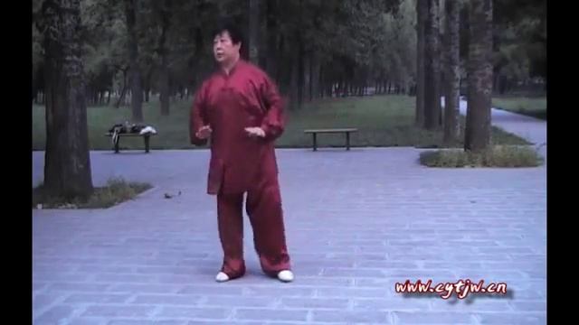 Чень Юй обучает Фазцинь ___ Chen style Taiji, Chen Yu Fajin ШКОЛАтАЙЦЗИ ставр.