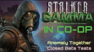 GAMMA с другом по сети! | Anomaly Together