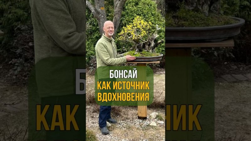 БОНСАЙ КАК ИСТОЧНИК ВДОХНОВЕНИЯ.