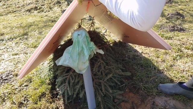 Когда правильно раскрыть виноград после зимовки? Лучшие способы укрытия!