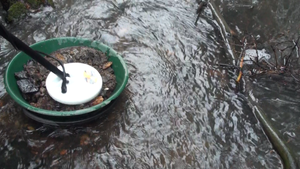 Нашёл золото в ручье в центре города!