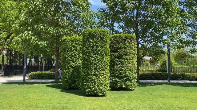 ✨?Лето 2023 в Парке Галицкого цветет Бугенвиллия. смотреть онлайн