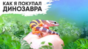 Как я динозавра покупал или мой эублефар – начало