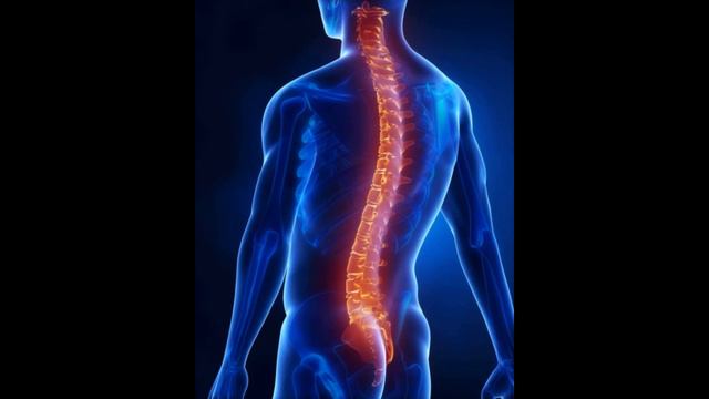 БИОЛОГИЯ, анатомия: нервная система человека. Урок для детей смотреть онлайн