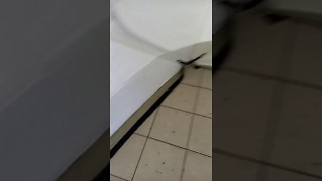 Палатка следопыт 5 стен, 3 слоя печка из баллона, от фриона смотреть онлайн