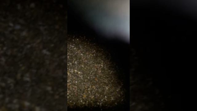 Добавка REASIL/Сколько травы нужно курице в корм