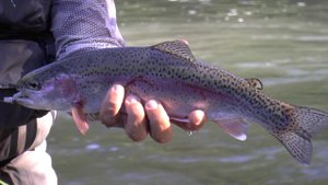 Моя любимая Камчатка