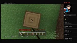 Minecraft online (first online world)