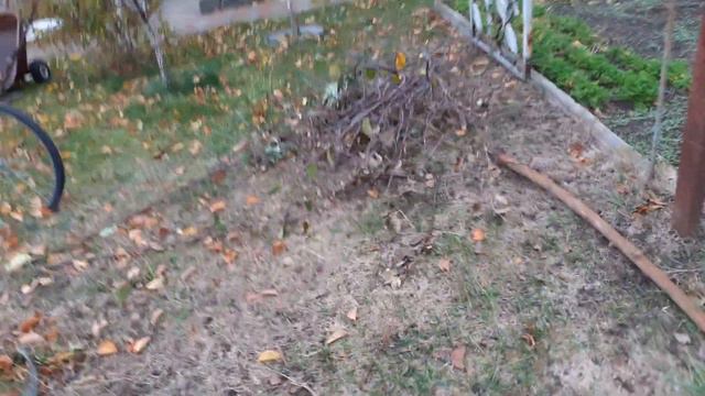 #Работа#сад#деревья#обрезка смотреть онлайн