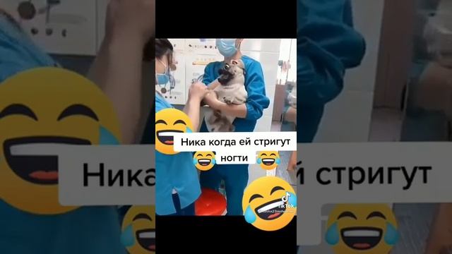 Стригут Ногти)