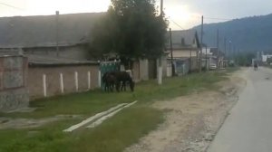 БАБУГЕНТ. ВОСХИЩЕНИЕ РАССВЕТОМ! Видео ролик Байдымат Кечеруковой, 10.07.2016.