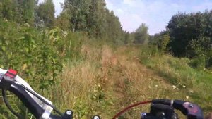 Катаем по лесу на Питбайке LX5  YX160.
