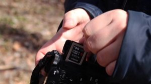 Nikon Z6 - ПОЛНЫЕ впечатления от фотоаппарата