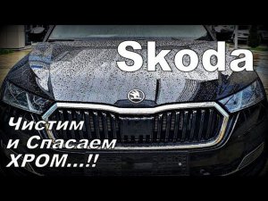 Skoda: Чистим и Спасаем Хром (2024)