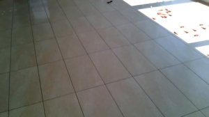 СВП для плитки 30х60 см? Спасибо, не надо -2ч