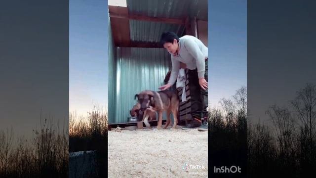 Глобальное переселение
