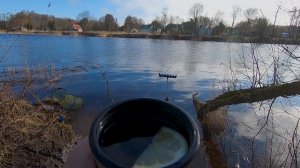 Ловля карася весной | Как ловить крупного карася на фидер