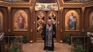 Целомудрие, смиренномудрие, терпение, любовь Проповедь священника Георгия Полякова