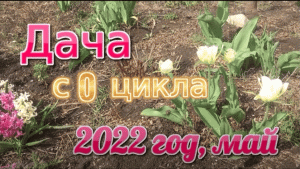 Дача с 0, май.mov