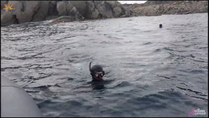 Подводная охота в Норвегии. Лофотенские острова