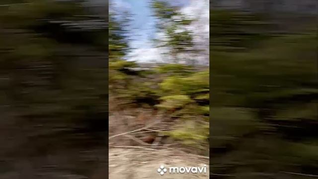 квадроциклы Пилипец. Квадроцикли Пилипець. Прокат квадроциклів Пилипець. Квадроцикли смотреть онлайн