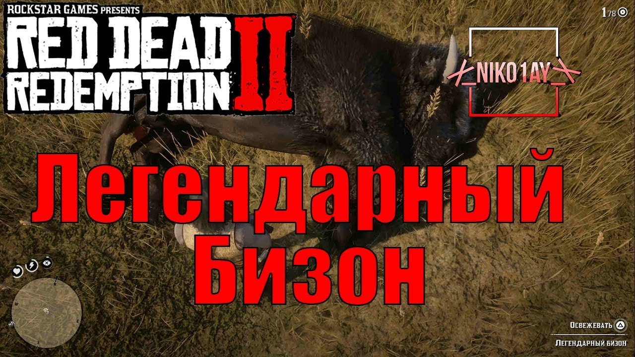 Red Dead Redemption 2 Легендарный Бизон