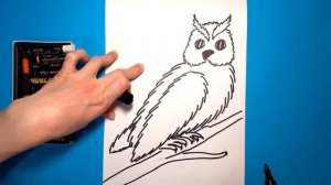 Как нарисовать СОВУ (ФИЛИНА). Рисуем с детьми. How to draw an OWL.