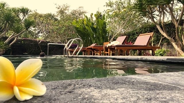 БАЛИ | Новая жизнь без обратного билета. Сколько стоит жить на райском острове? смотреть онлайн