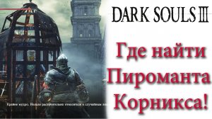 Dark Souls 3 - Где найти пироманта Корникса в Поселении Нежети(Cornyx of the Great Swamp).